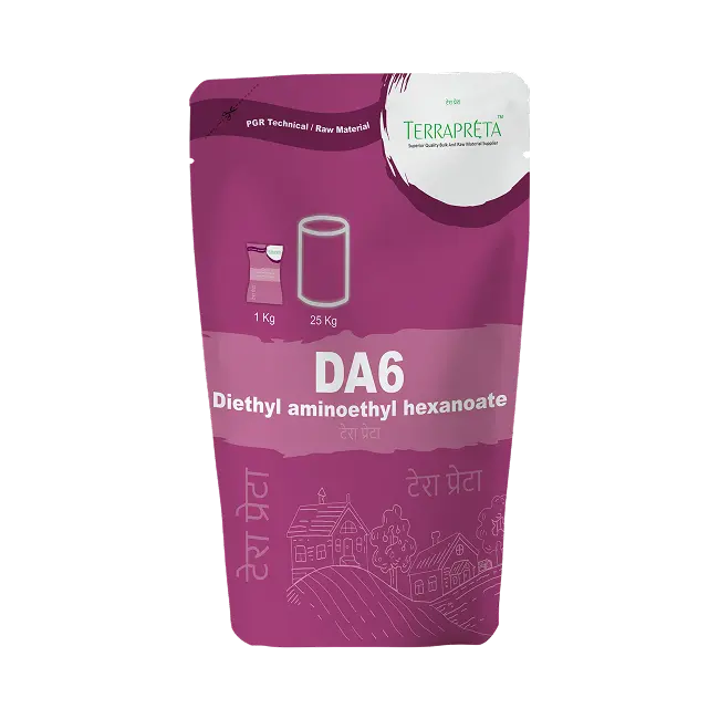 DA6 (Diethyl Aminoethyl Hexanoate)