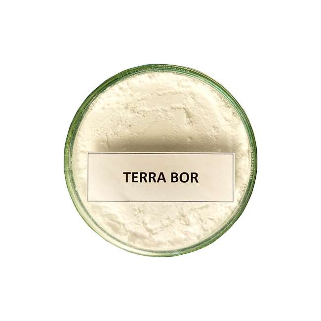 product_detail