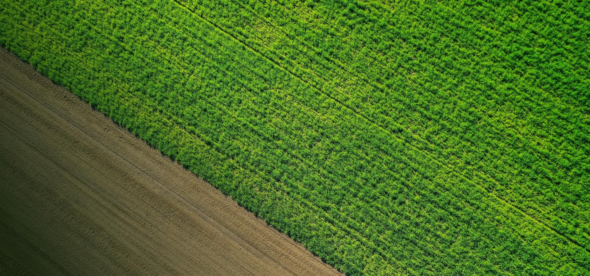 sustainability